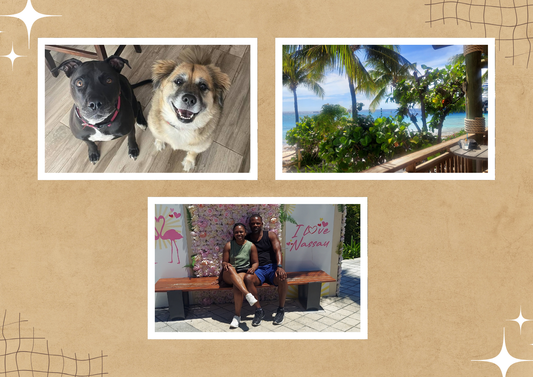 Custom Flexible Photo Magnets (6)