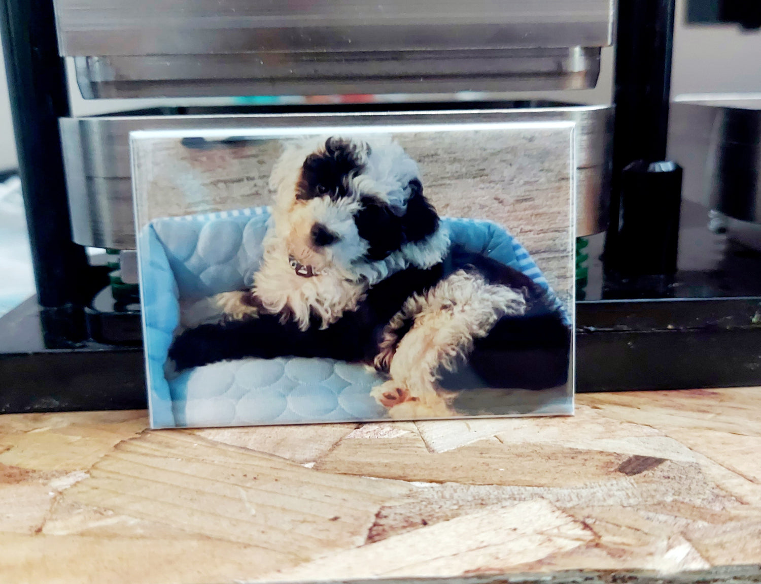 Custom Photo Products